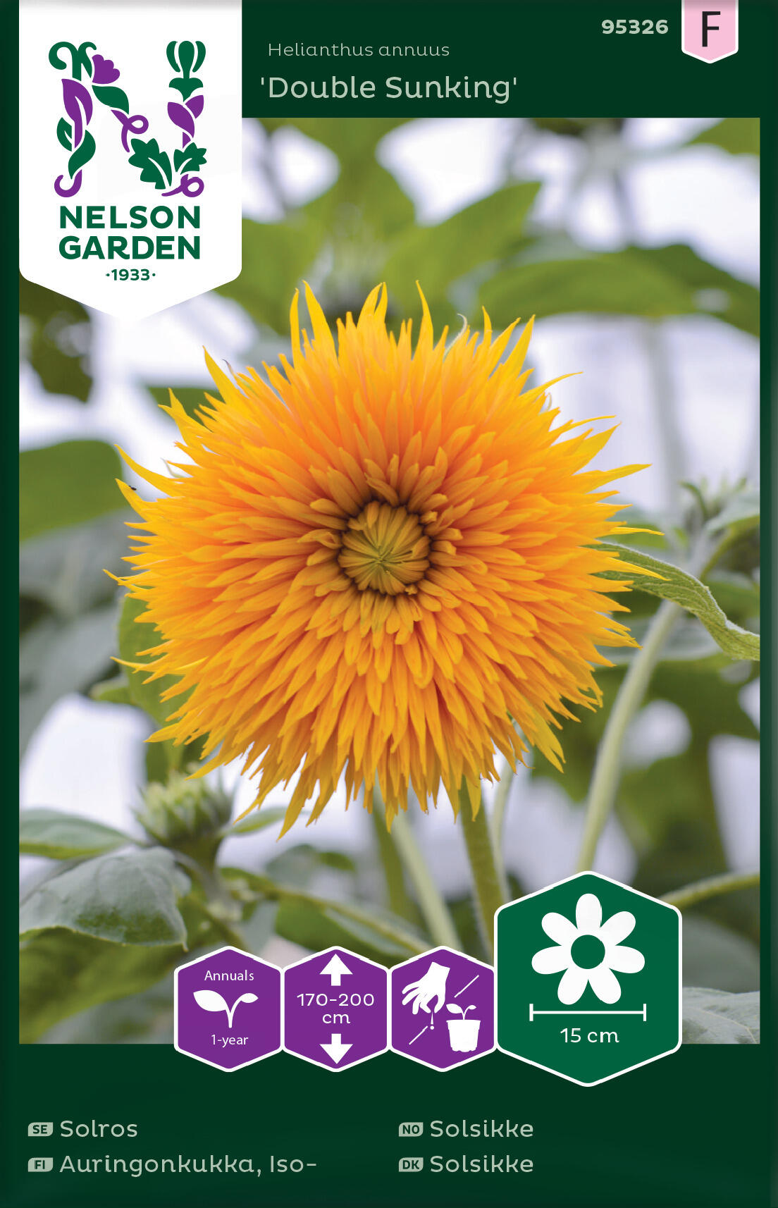 Solsikke 'Double Sunking'